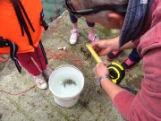 Quercus Crab Fishing Competition May 25th 2014