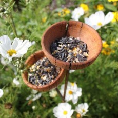 Seedhead Bird Feeder (SOLD OUT)